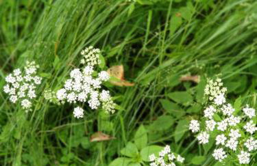 Haus Bergblick - Foto 45