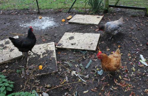 Chez Santia - Foto 6