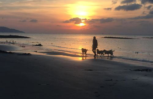 Borthwen Bach - Foto 23