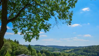 Sauerland Lodge - Haus Julius - Foto 4