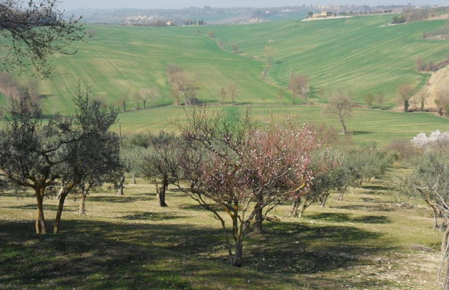 Scenic Stay in Spoleto - Foto 28