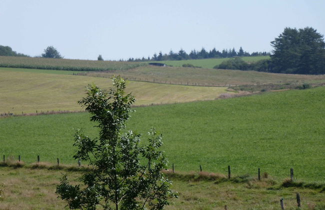 Cozy Nimbermont Home - Photo 38