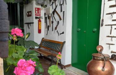Casa Museo Jerez Centro - Foto 27