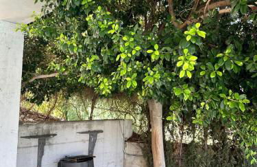 Villa Moderna Exclusiva con Jardín Privado La Villa de Sevilla - Foto 14