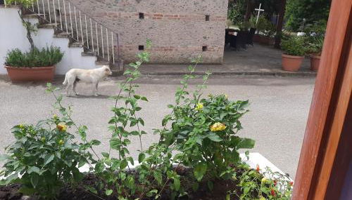 Azienda Agricola Neocastrum - Photo 3