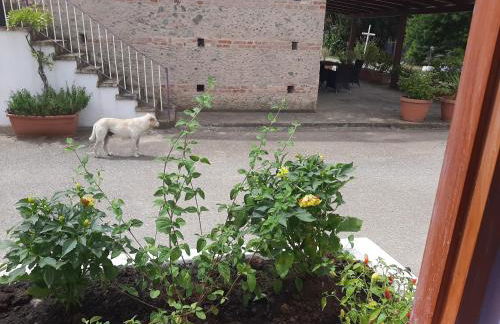 Azienda Agricola Neocastrum - Photo 3