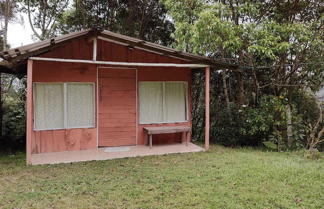 Millar de Aves - Foto 7