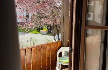 Apartment Pool Sauna Netflix FreeParking WIFI YoutubePremium - Foto 10