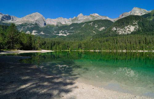 Agritur Al Paradis - Appartamenti - Foto 29