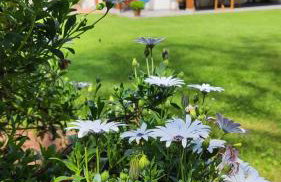 Reguero Gato Turismo Rural - Foto 2