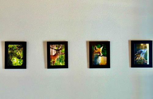 Égua Nature House - Foto 21