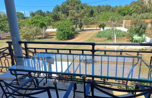 Sofia's Yard House - Foto 23