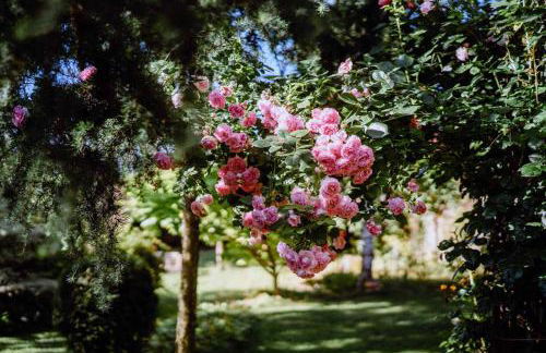 Ferienwohnung Radeberg - Foto 52