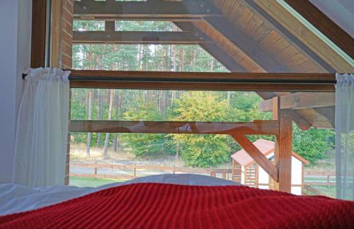 Ostoja Bukowo, Domek 9,1 'Stilia' - Foto 35