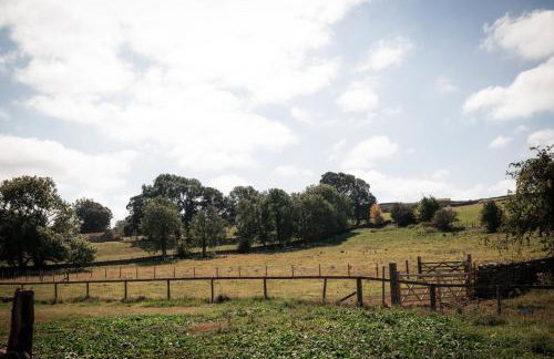 Neddy Meadow - Photo 30