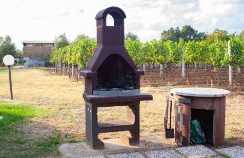 Agriturismo L'Istrice di Giò - Foto 44