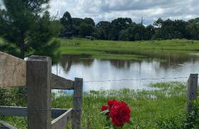 Chácara Morango do amor - Foto 3