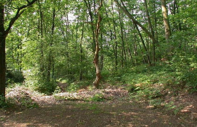 Lanklaar Chalet With Garden - Foto 15