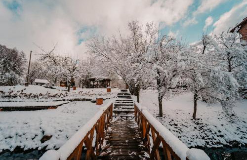 Stary Młyn w Brzeźnicy - Foto 63