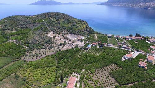 Το Είδωλον - Foto 2