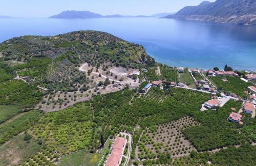 Το Είδωλον - Foto 2