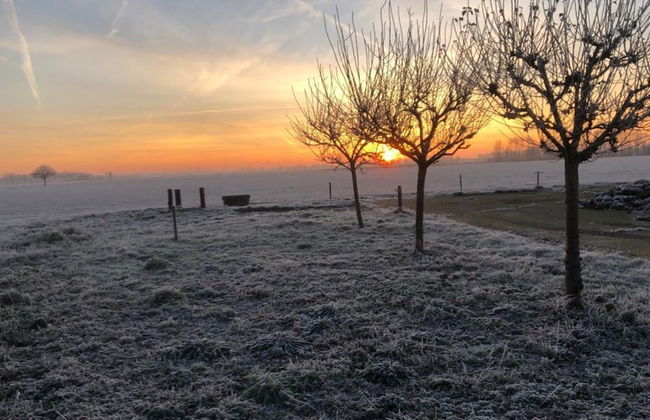 Tranquil Group Retreat in Nature - Foto 37