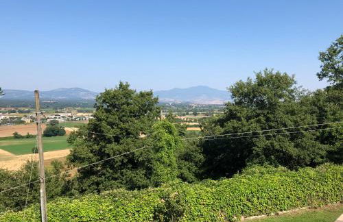 Il Palluccaro - Foto 11