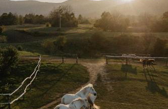 Forest Paradise - Foto 52