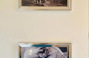 The Sleeping Lion - Dunoon Holiday Home - Foto 34