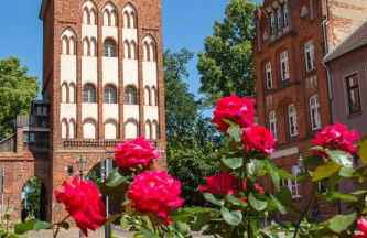 Kleine gemütliche Altstadt-, Monteurwohnung in Wittstock - Photo 21