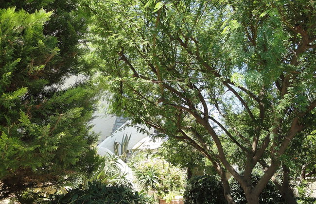 Nancy - Chara Apartments - Foto 42