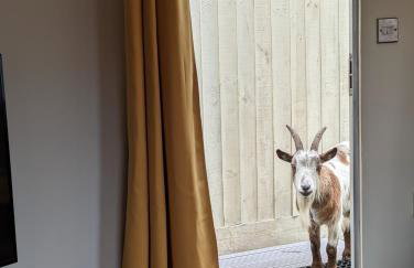 The Piggery - Foto 9