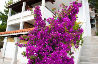 Apartments Fani - Foto 25