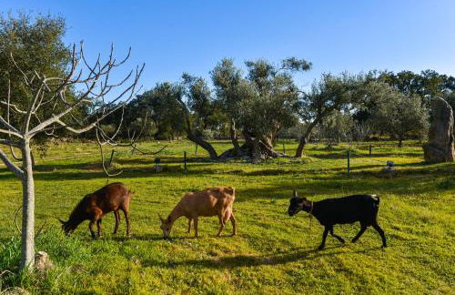 Quinta dos Tesouros - Foto 28