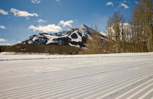 View Of Mt Crested Butte- 1 Br Condo - Foto 25