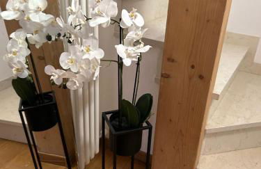 La Terrazza sul Tetto - Foto 15