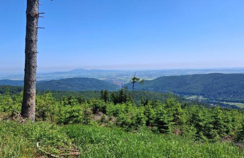 Sowie Pokoje - Foto 34