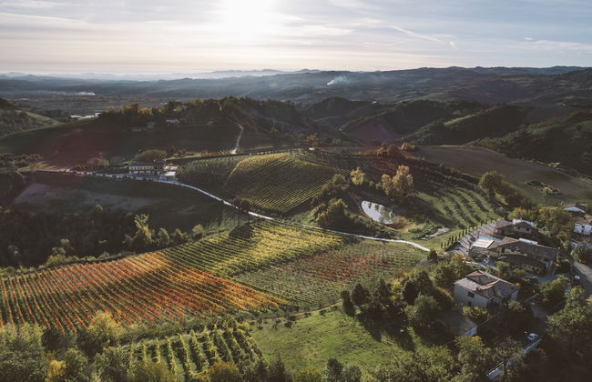 Agriturismo Acetaia Sereni - Foto 21