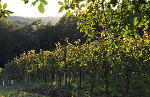 Apartman"KATJA" - Foto 4