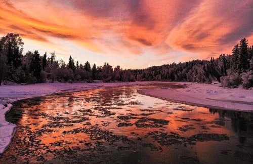 Kenai Living Waters - Fishing Paradise - Foto 33