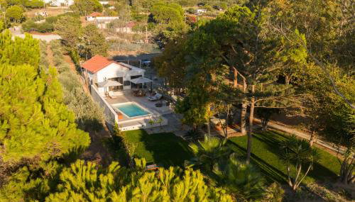 Petrochori Beach House - Foto 4