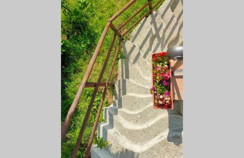 Villa con Piscina 10 Posti Letto, L'Oliveta Di Rivalto - Foto 14