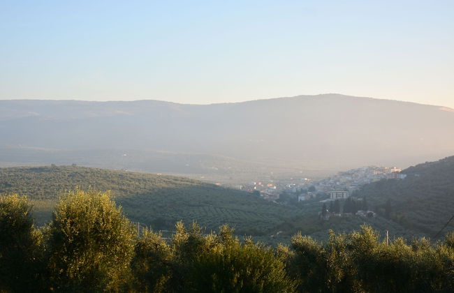 Torre Bruno - Foto 30