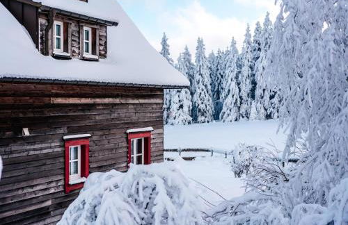 Holiday Homes in Torfhaus Harzresort, Torfhaus - Foto 138