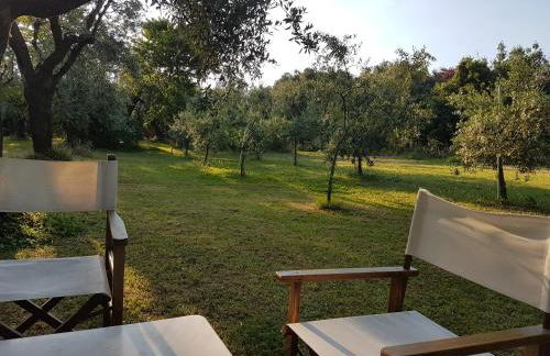 Antico Uliveto - Foto 32