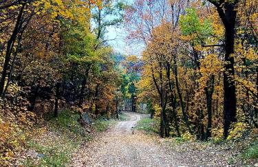 Cal Carol - Photo 18