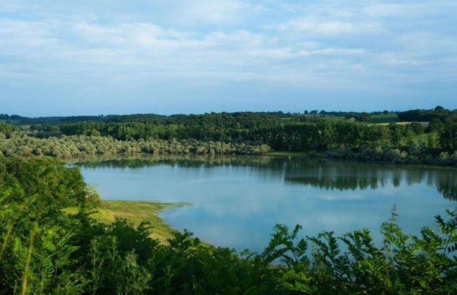 Peyrusse Peace: Pool & Charm - Foto 40