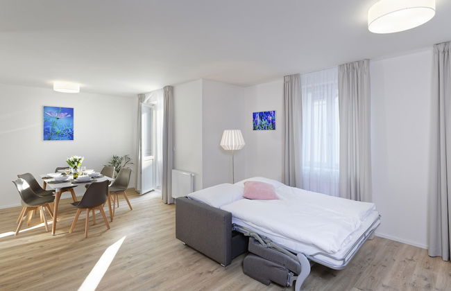 DownTown Suites Jugoslavska - Photo 28