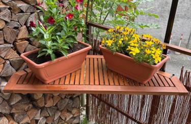 Demantoide - Photo 21