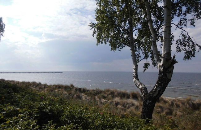 My Holiday Home Comfortable Holiday Residence - Foto 13